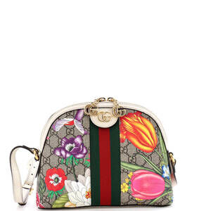 Gucci Ophidia Dome Shoulder Bag Flora #227117G12B